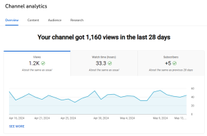 Ook YouTube geeft veel inzichten over het effect van je marketing vlogs zoals views, likes en followers.